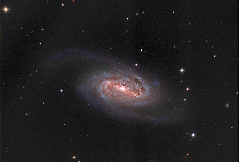 NGC 2903 galassia della costellazione del Leone